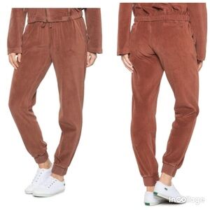 NWT YOUNG FABULOUS & BROKE Velvet Ollie sweat Pants Brown color size M